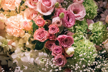 Closeup Blooming Pink roses, beautiful Pink rose with bokeh background.Roses 's symbol of love.
