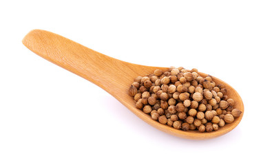 coriander seeds in spoon wooden on white background