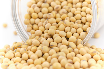 Soybeans is poured out of a glass jar and spread at on white background.