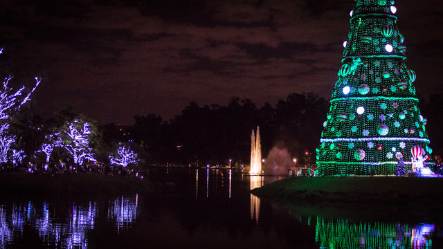 Lago do Ibirapuera - Luzes de Natal