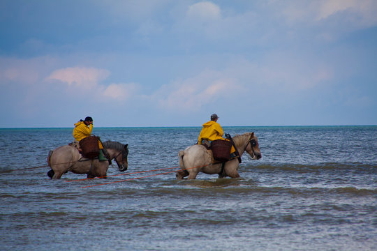 Krabbenfischer in Koksijde