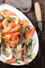 shrimp, oyster and clam