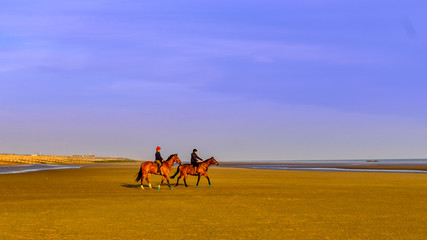  Horse riders on Camber Sands Beach at low tide, East Sussex U.K