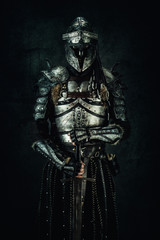 Portrait of a medieval fighter