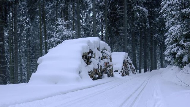 Holz im Wald gestapelt mit Ski Loipe
