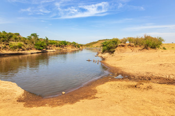 Mara river in Masai mara national refuge