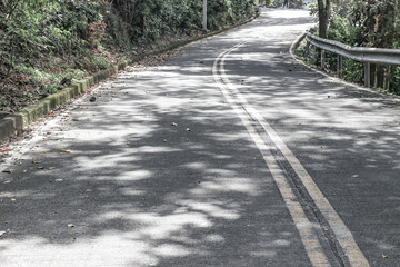 Fototapeta premium Roads and forests