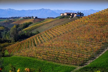 Naklejka premium Piedmontese landscape of Langhe in autumn