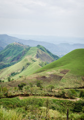 Obraz premium Rolling fertile hills with fields and crops on Ring Road of Cameroon, Africa.
