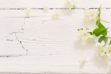 jasmine on white wooden background