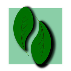 green minimalistic sheet