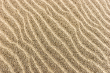 Fototapeta na wymiar Sand on the beach. Sandy beach for background