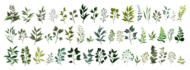 Foto auf gebürstetem Alu-Dibond Kräuter Sammlung von tropischen Blättern der grünen Blattpflanze Waldkräuter