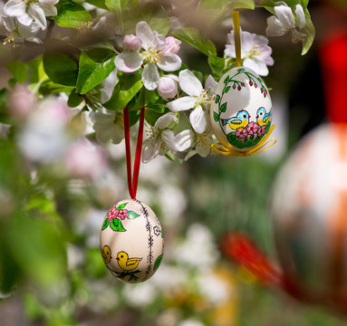Easter egss hanging on the twig of apple tree in the garden