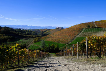 Fototapeta na wymiar Piedmontese landscape of Langhe in autumn