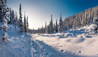 Winter hike in the reserve "Kuznetsky Alatau"