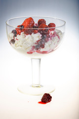 Quark mit Beeren Cocktail