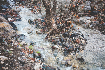 Stream in the mountains.