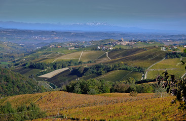 Piedmontese landscape of Langhe in autumn