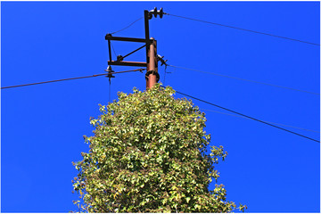 Iron electric pole against blue sky	
