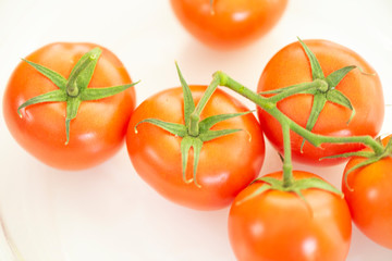 fresh red tomato