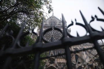 Garden on the back side of Notre Dame Cathedral in Paris, France
