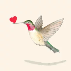 Crédence de cuisine en verre imprimé Colibri Oiseau Colibri tenant un coeur dans son bec.