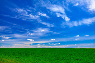 clouds over green field