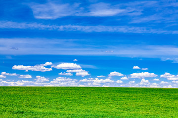 field with blue sky and clouds