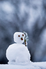 tiny snowman with blurred tree background in magical blue hour