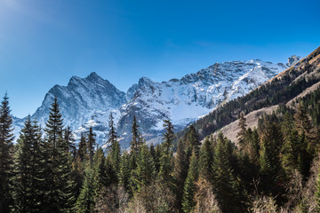 high snow covered mountain range and coniferous forest at autumn day, Caucasus mountains