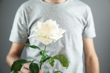 Caucasian man holding white rose flower.