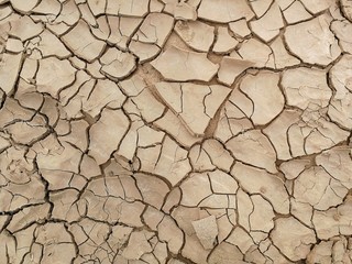 dry soil for background