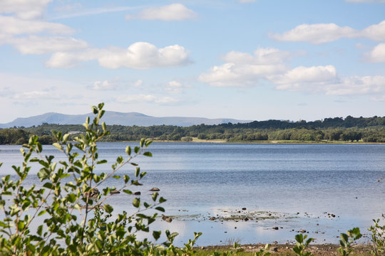 Park in the Distance