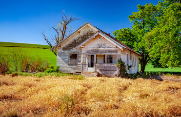 Obraz premium abandoned house in wheat field