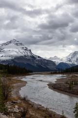 Scenic view of the Canadian Rocky Mountain Landscape during Fall Season. Taken in Icefields Pkwy, Jasper, Alberta, Canada.
