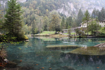 Fototapeta na wymiar Swiss Blausee