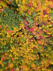 Aerial view from above on the colorful trees during fall season. Taken near Belledune, New Brunswick, Canada.