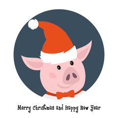 Cute pig in santa hat.