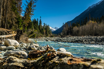 Panoramic view from bank of the river Gonachhir with pine forest and snow caucasus mountains during sunny autumn day