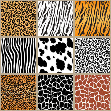 animal skin seamless pattern set, vector illustration Background with african tiger, zebra, giraffe, cheetah, cow,
dalmatian