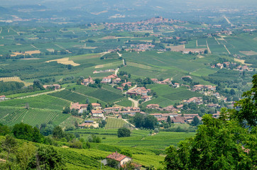 La Morra, province of Cuneo, Piedmont, Italy. July 15, 2018. In the Langhe territory, La Morra is a village on top of a hill that gives an enchanting lookout over the typical vineyards of the area.