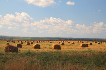 Autumn yellow field with hay rolls after harvest. Countryside natural landscape.