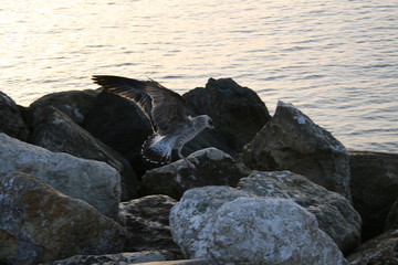 Spanien Costa Blanca