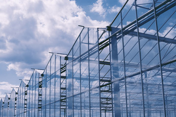 Fototapeta na wymiar greenhouse in Hungary and summer sky