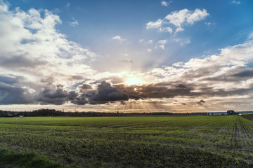 Obraz premium Bewölkter Dramatischer Himmel mit Feld im Fordergrung