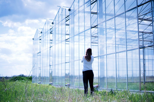 Young woman oustide in greenhouses, check the investment. Space for text