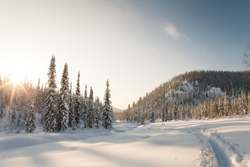 Winter hike in the reserve "Kuznetsky Alatau"