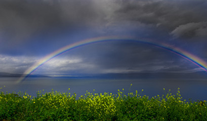 Fototapeta na wymiar Rainbow over water