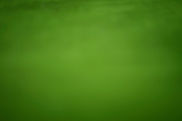 Blur abstracted light green background, old velvet material.